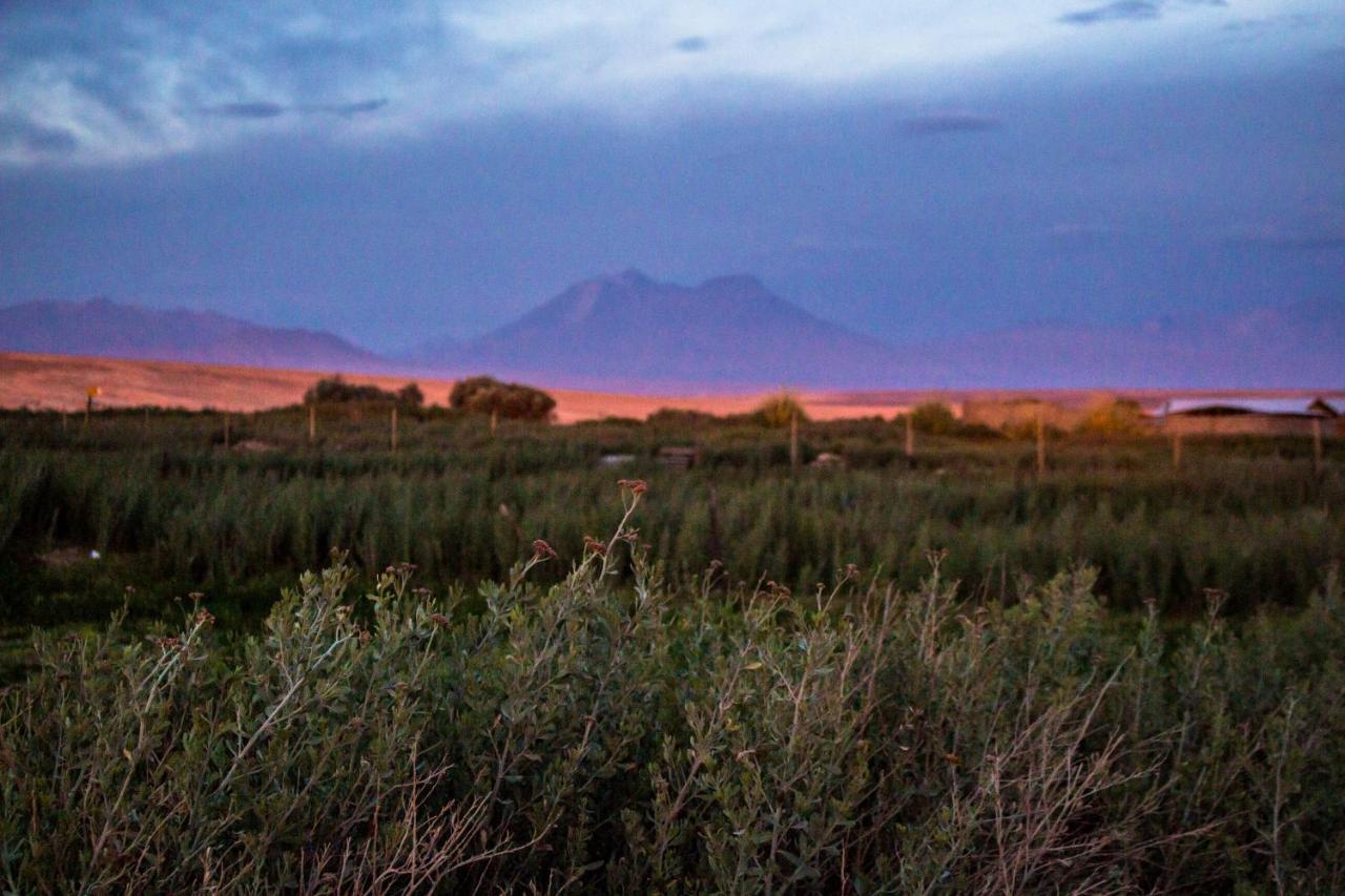 Sol Del Desierto Villa Chiuchiu Luaran gambar